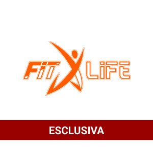 FIT X LIFE - Palestra