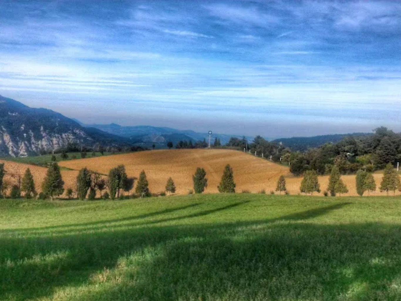 Fattoria-