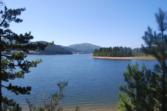 Splendido lago di montagna circondato da foreste