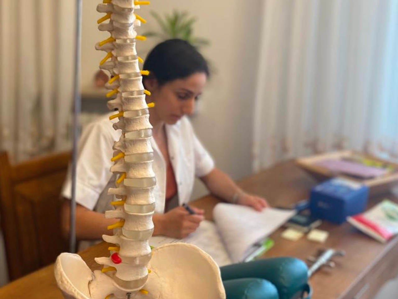 spine (7)