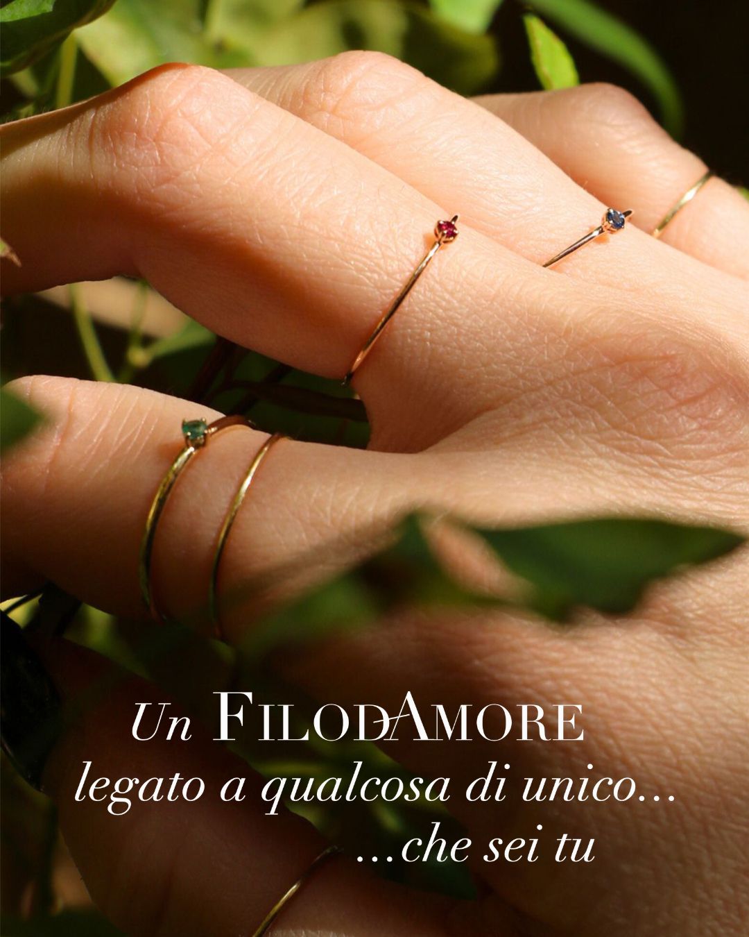 Filodamore_Rubinia