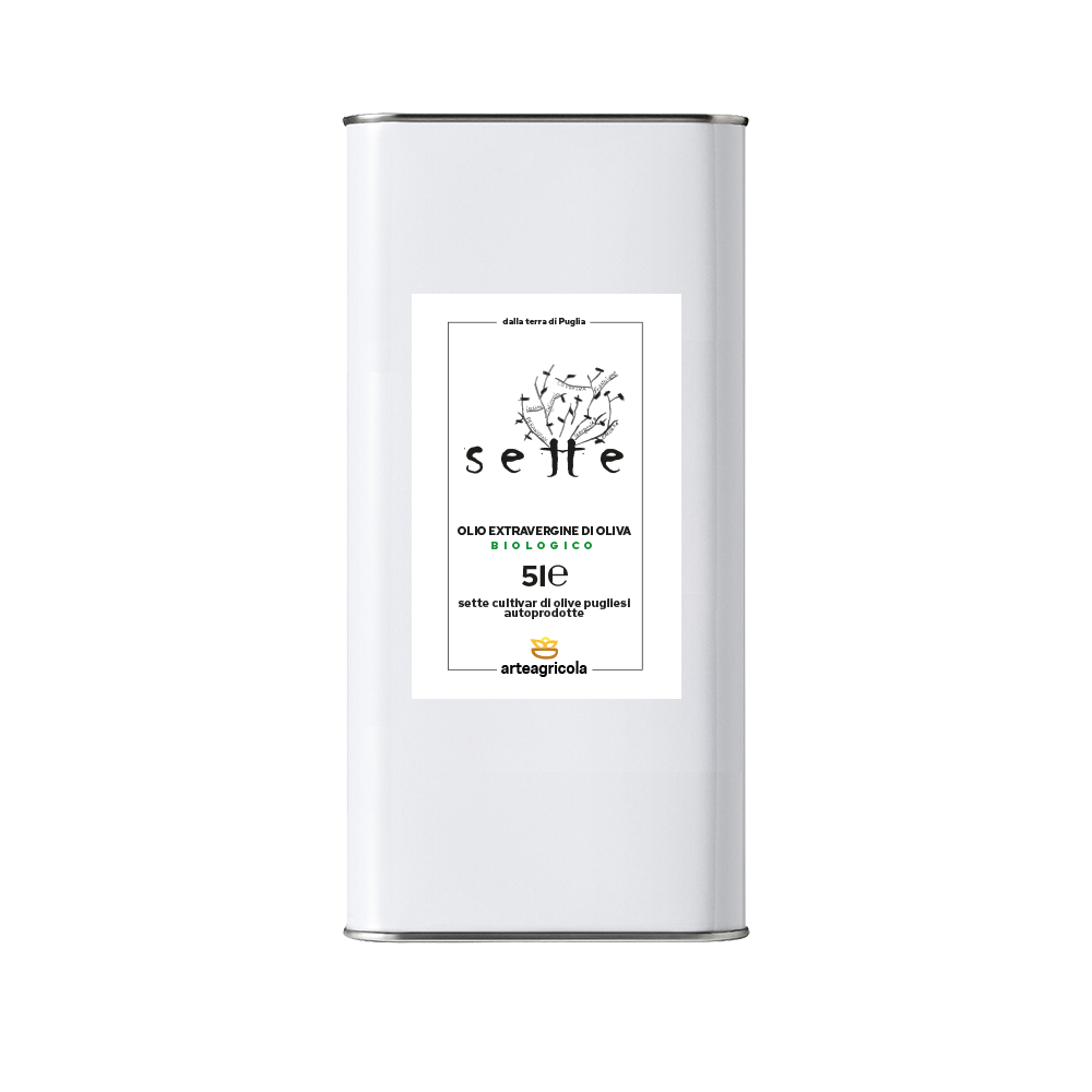 Olio 5l BIO F