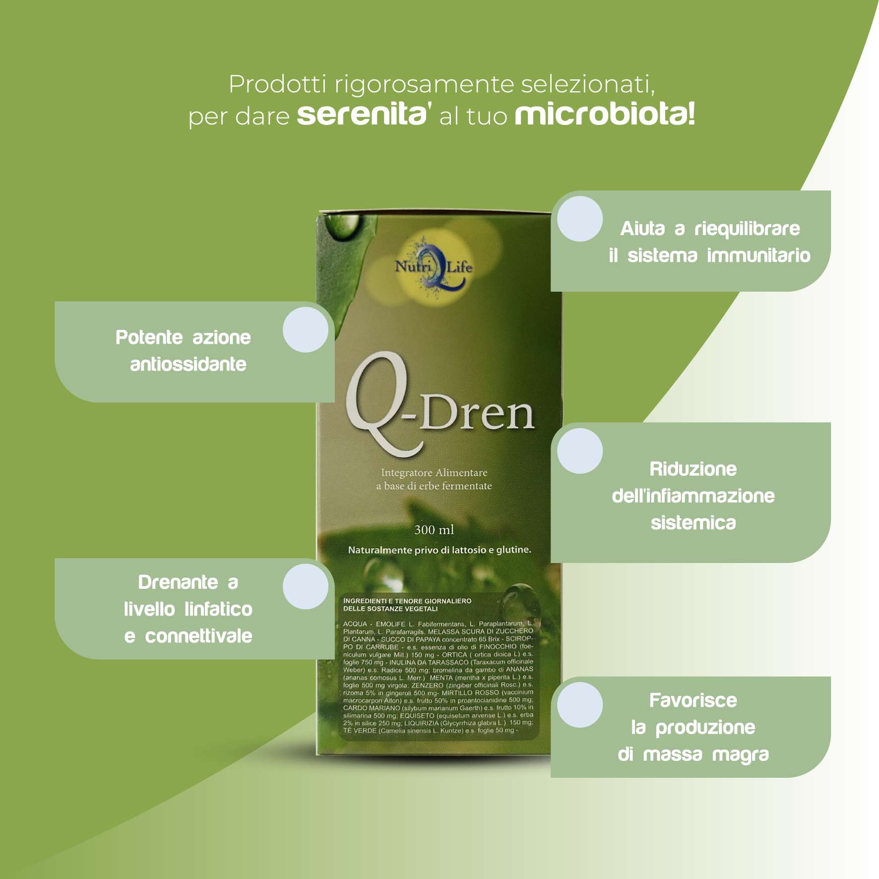 VERDE (1)