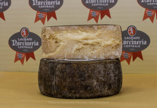 formaggio-pecorino-stagionato-duro-frontale-trombarolo-320x220