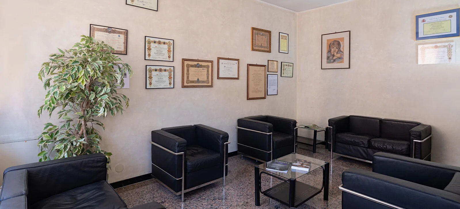 immagine-maiolani-7