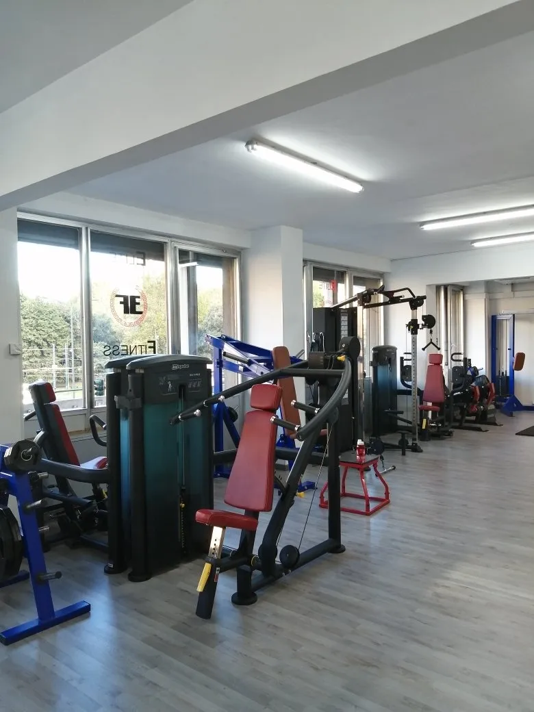 Elite Fitness (10)