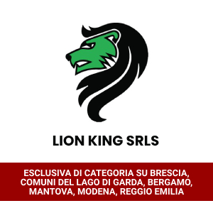 Lion King - Sistemi di sicurezza