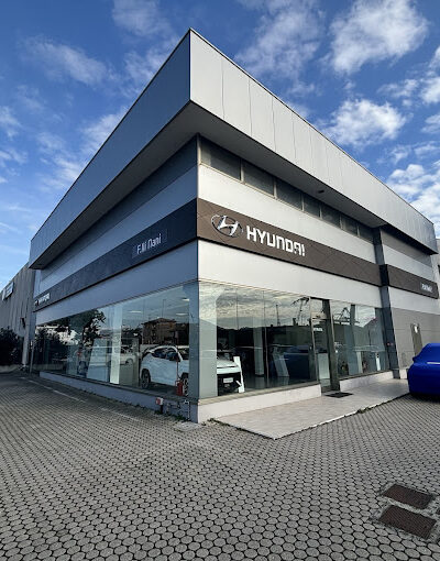 hyundai-fratelli-nani.jpg