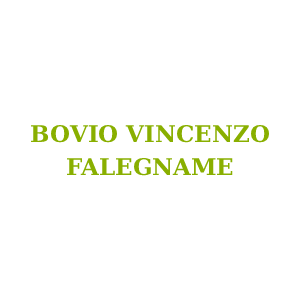 Bovio Vincenzo - Falegname
