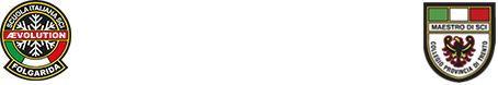 Logo Aevolution