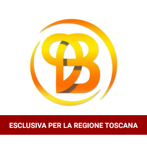 Dbest Solutions