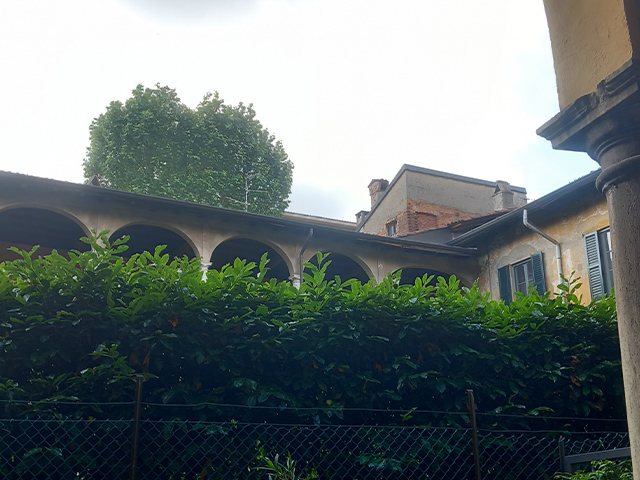 Liotta 1