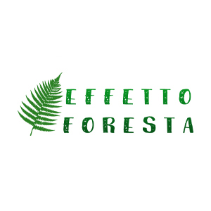 Effetto Foresta