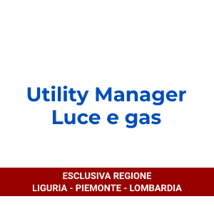 Utility Manager Luce e gas