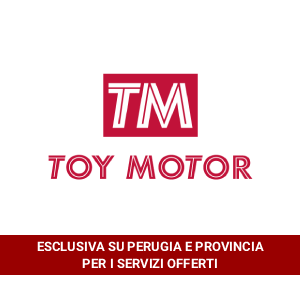 Toy Motor
