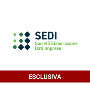 S.E.D.I. Srl