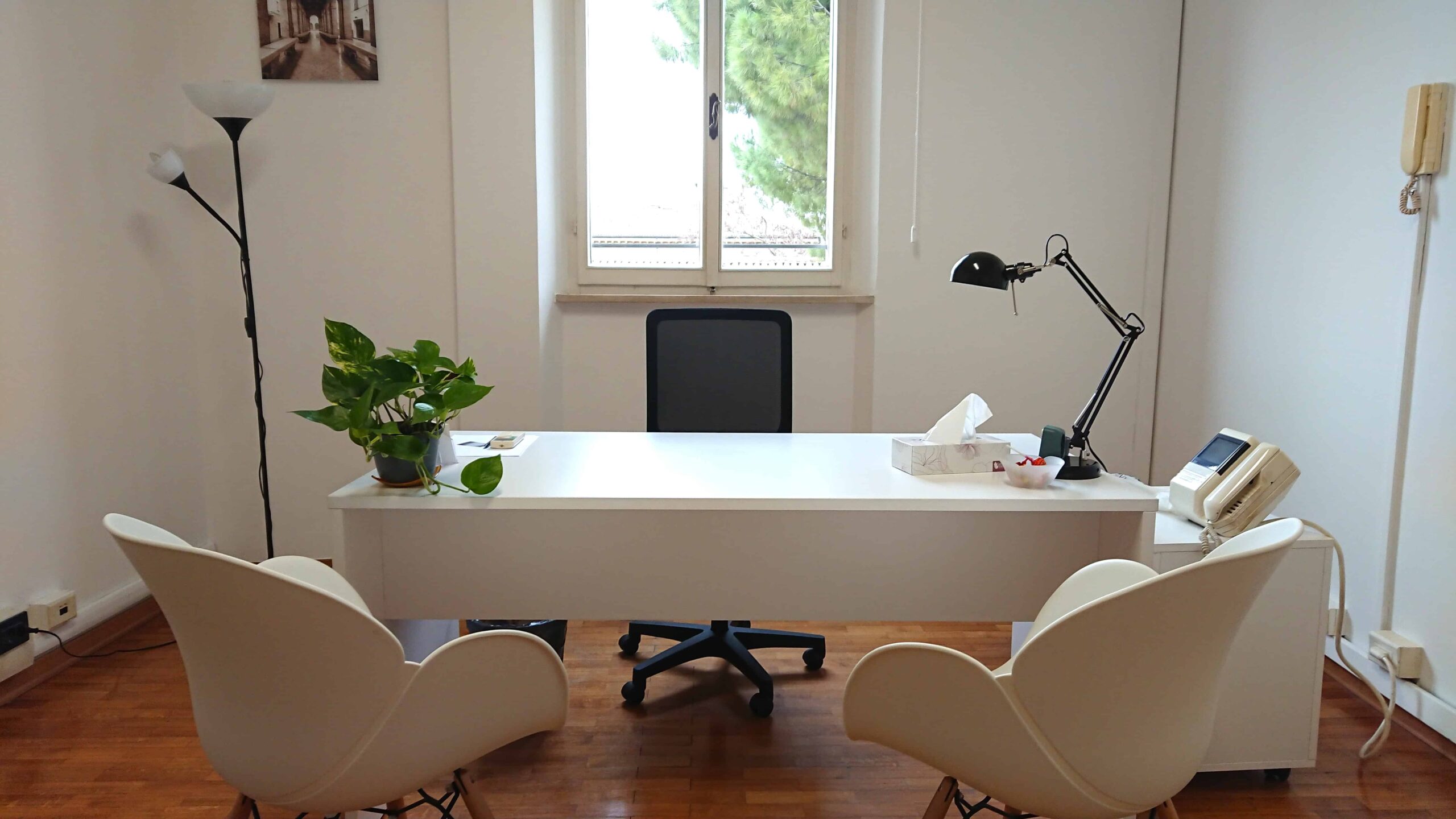 Immagine studio Rimini