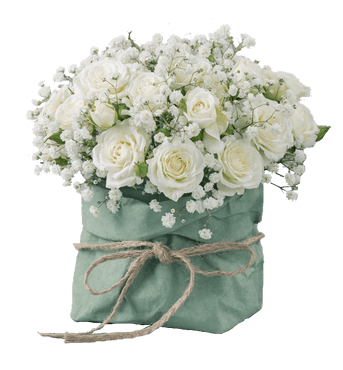 Fiori bianchi