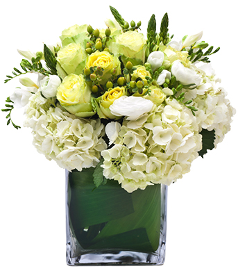Fiori_compleanno