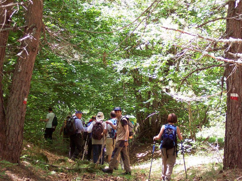 camminata2
